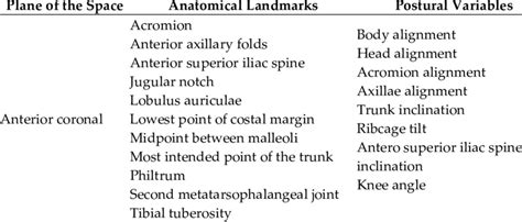 apecs posture|Anatomic landmarks and postural variables studied .